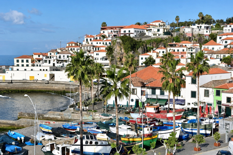 Ribeira Brava: West Madeira Tour with Fanal Forest & Pools