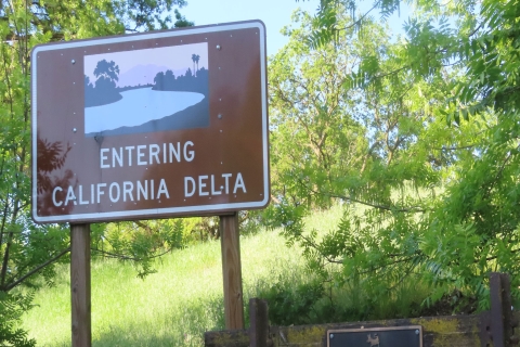 La Historia del Delta y el Vino: Recorrido autoguiado en coche