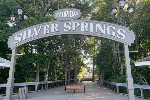 Desde Orlando: Parque Silver Springs y tour en barco con fondo de cristal