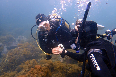 La Palma: First Snorkeling, Then an Intro to Scuba Diving - Discover the Atlantic La Palma: First snorkeling, then an introduction to scuba diving – discover the Atlantic