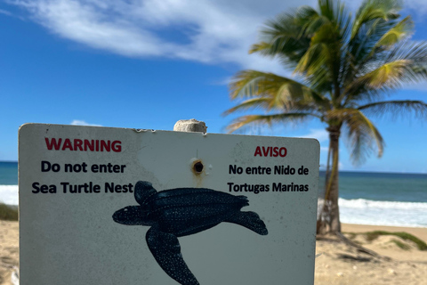 San Juan - Arecibo : expédition dans le Midwest, chutes d'eau et plage