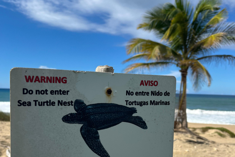 San Juan - Arecibo : expédition dans le Midwest, chutes d'eau et plage