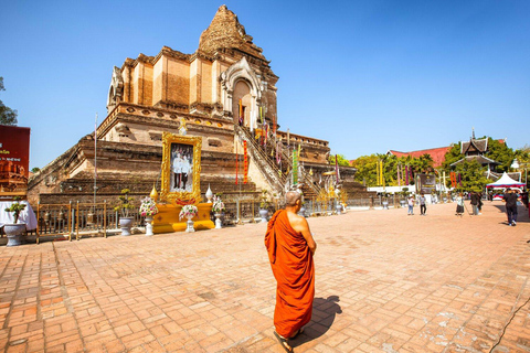 Chiang Mai: Utforskning av den gamla staden med privat Tuk-Tuk