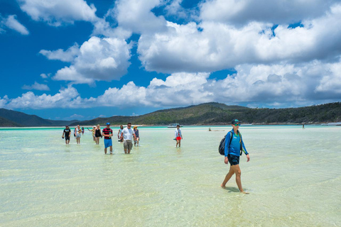 From Daydream: Whitsundays and Whitehaven Half-Day Cruise Afternoon Cruise