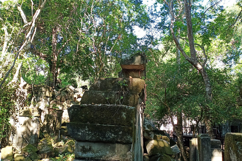 Excursion privée d'une journée - Temple de la pyramide de Koh Ker et Beng Mealea