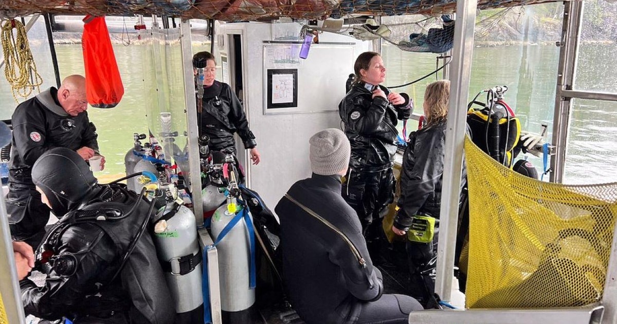 Vancouver Scuba Dive Boat Charter GetYourGuide