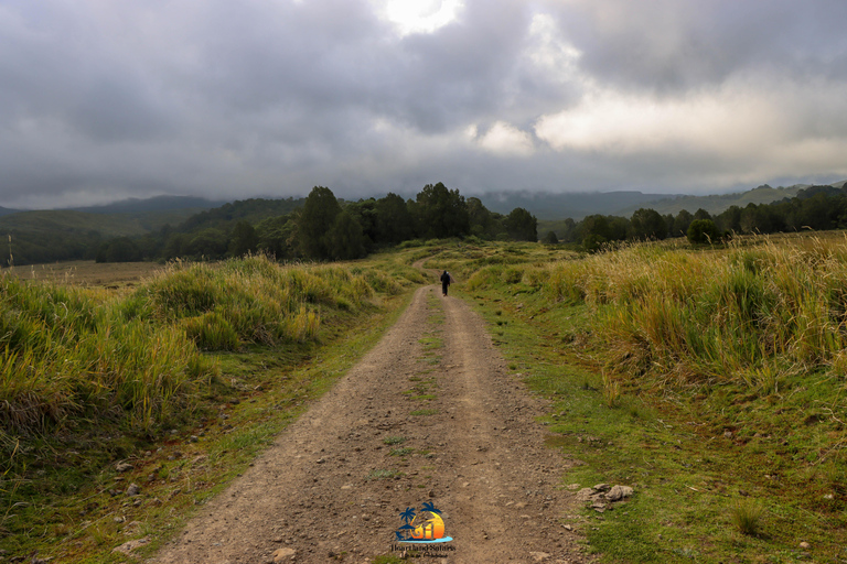 Mount Kenya: The Ultimate ChallengeClimbing Mount Kenya: The Ultimate Challenge