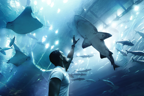 Abu Dhabi Stadt und Sea World Tour ab Abu Dhabi