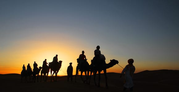 From Djerba: Adventure, 24 hours on a camel & a night in a bivouac in the desert