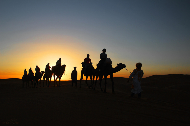 From Djerba: Magical Desert Night by 4x4 with Sunset & Sunrise From Djerba: Magical night in the desert by 4x4 with sunset and sunrise