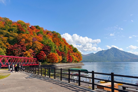 From Sapporo: Hoheikyo Dam, Jozankei & Lake Shikotsu Tour Shared Tour, Meet at Sapporo Station