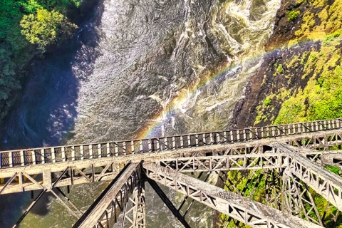 Chutes Victoria : Vue sur les chutes et le pont historiqueChutes Victoria : L'expérience du pont