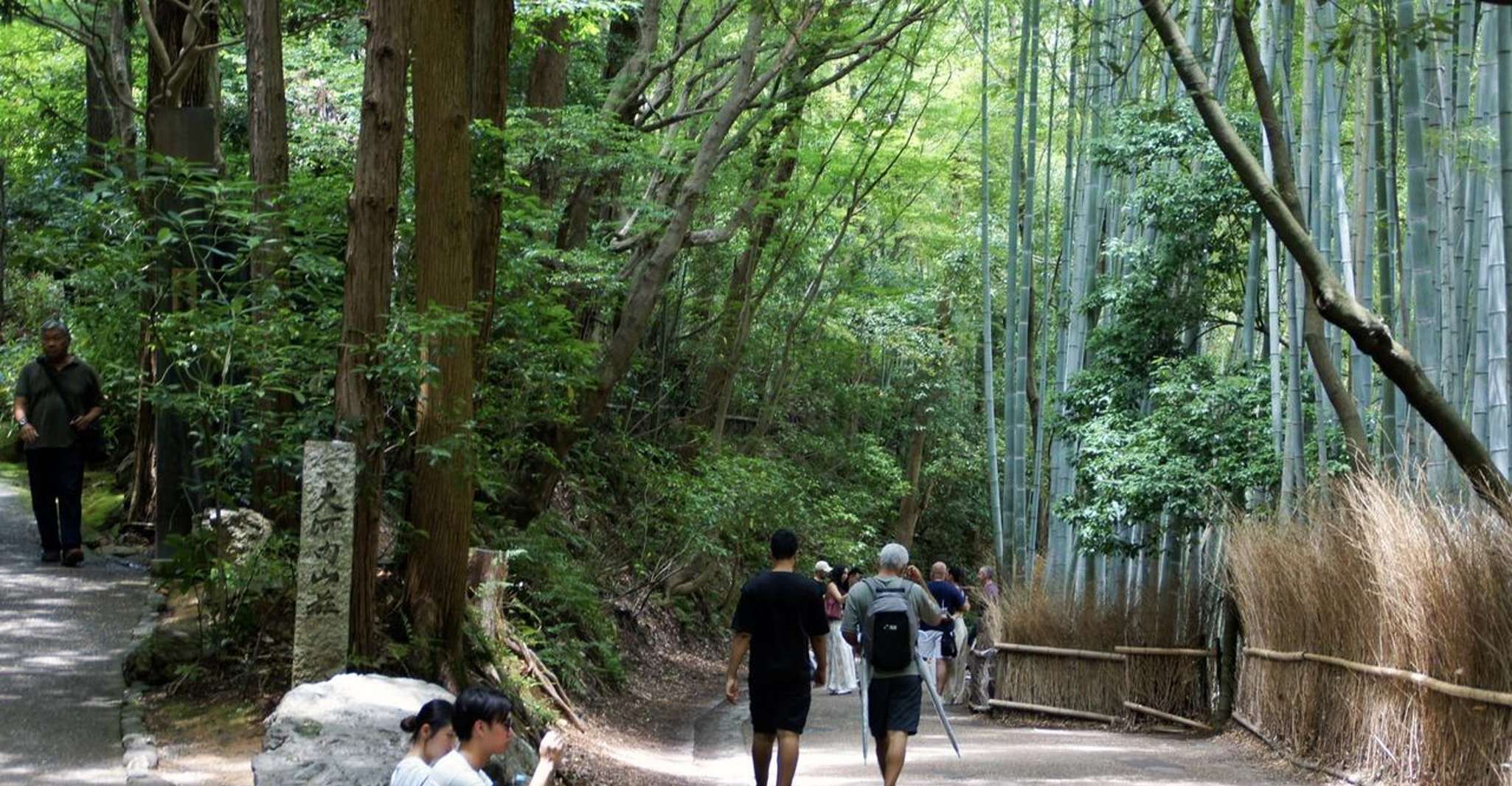 Kyoto: Arashiyama Bamboo, Matcha, Monkeys & Temple Tour photo 3
