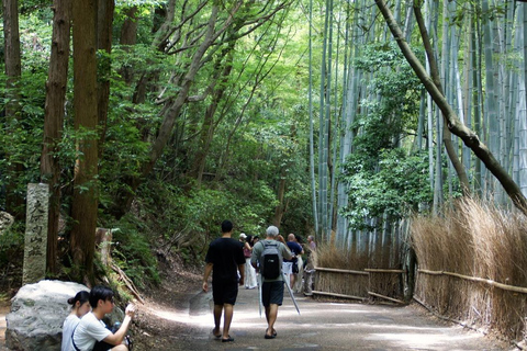 Quioto: Bambu de Arashiyama, Matcha, Macacos e Passeio pelo TemploKyoto: Passeio pela Floresta de Bambu de Arashiyama, Macacos e Templo