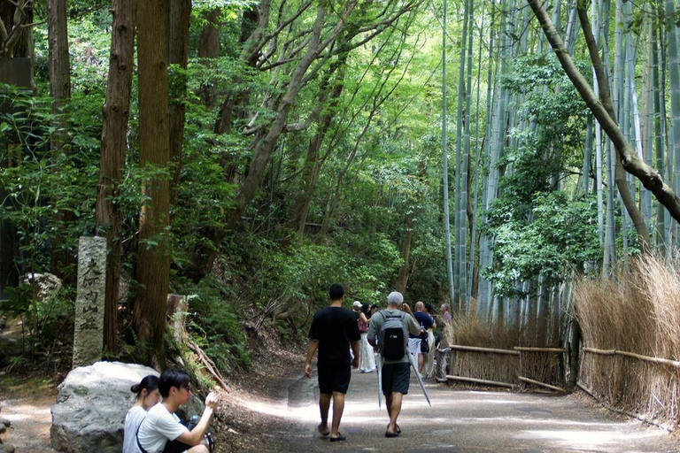 Quioto: Bambu de Arashiyama, Matcha, Macacos e Passeio pelo TemploKyoto: Passeio pela Floresta de Bambu de Arashiyama, Macacos e Templo