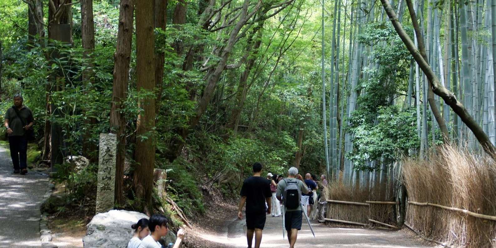 Kyoto: Arashiyama Bamboo, Matcha, Monkeys & Temple Tour