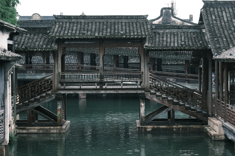 From Hangzhou: Wuzhen Water Town Day Trip & Night Lights