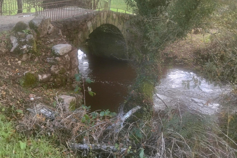 Santiago de Compostela: Premium Winter Pilgrimage with Private Guide Santiago de Compostela: Premium Winter Pilgrimage with Private Guide