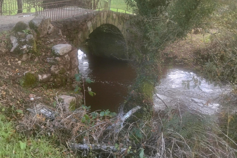 Santiago de Compostela: Premium Winter Pilgrimage with Private Guide Santiago de Compostela: Premium Winter Pilgrimage with Private Guide