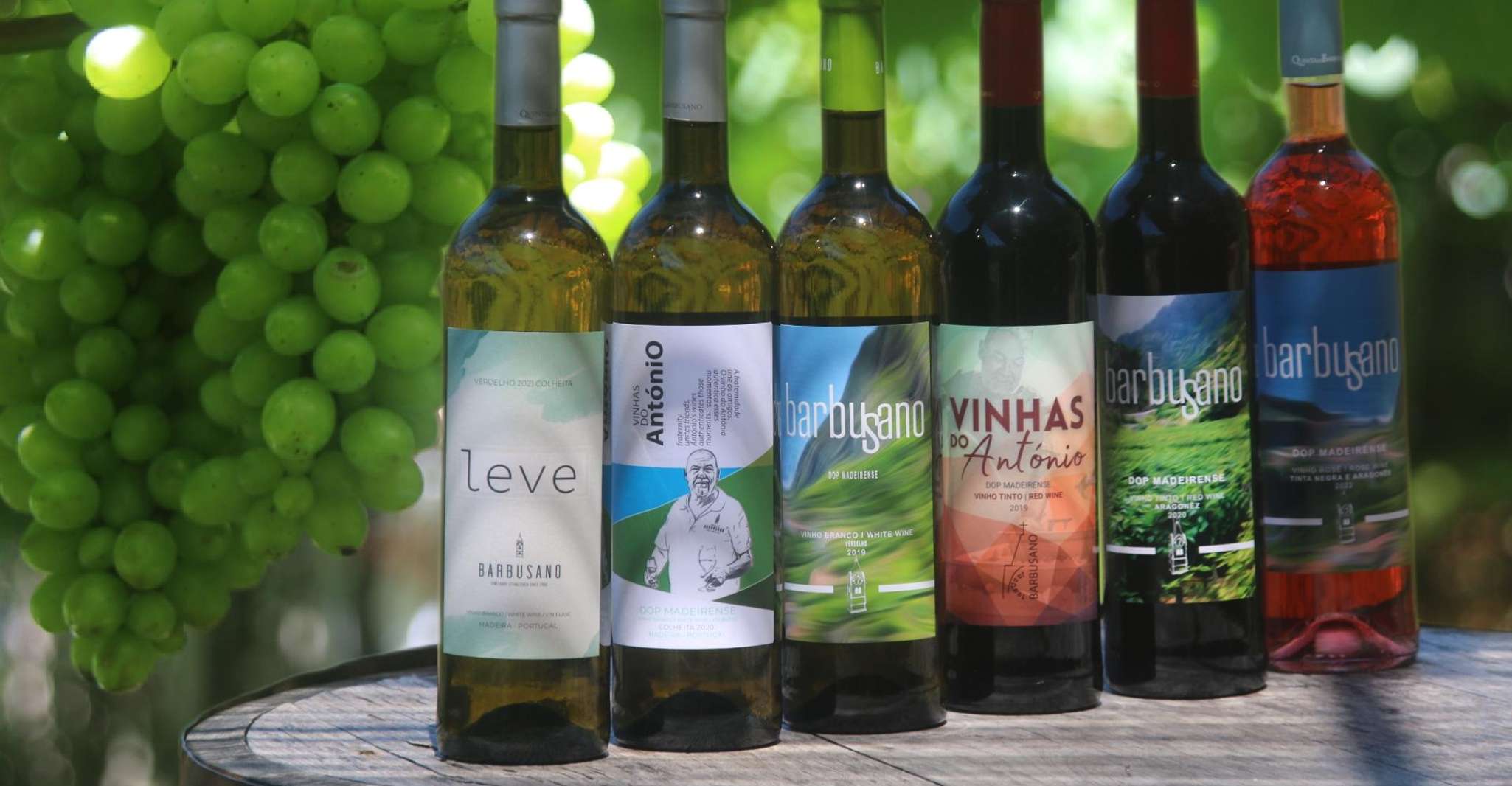 Wein Geschmack & Tapas, Cabo Girão Skywalk, 4x4 Jeep Abenteuer - Hizvo