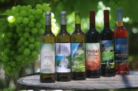 Wein Geschmack & Tapas, Cabo Girão Skywalk, 4x4 Jeep Abenteuer - Hizvo