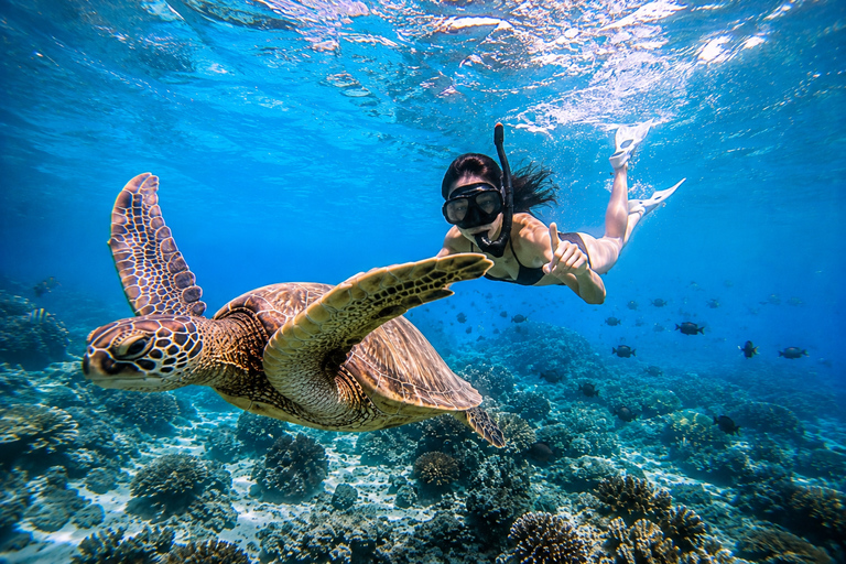 Labuan Bajo: 6 Island Komodo Speedboat Day Trip & Snorkeling