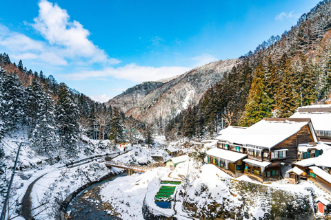 Tokyo: Snow Monkey Park & Nagano Highlights Private Trip Tokyo: Snow Monkeys Park Full-Day Private Customizable Trip