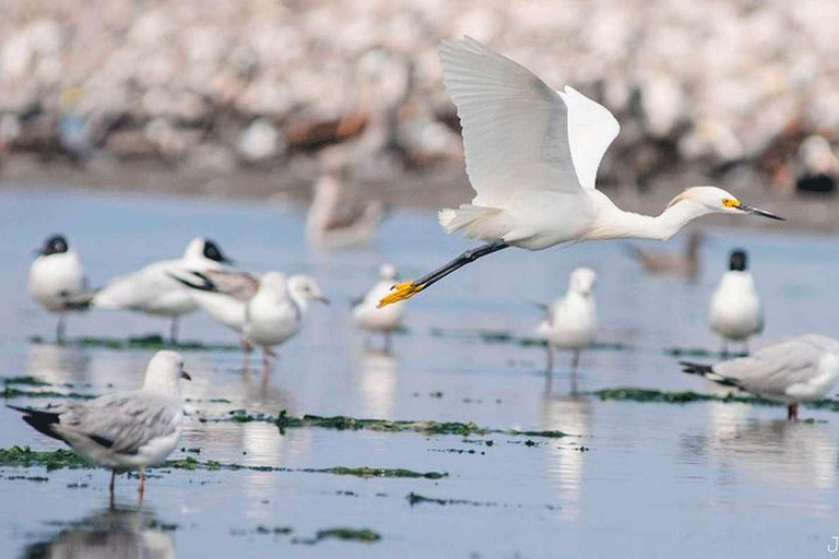 Lima: giornata intera dedicata al Callao monumentale