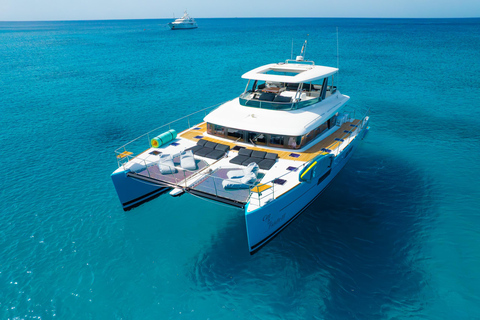 Half-Day Luxury Catamaran Cruise - Turtles, Wreck & Buffet
