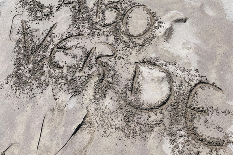 Poznaj największą plantację bananów na Cabo Verde