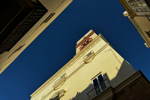 Cádiz do ponto de vista de uma gaivota: um passeio entre telhados e torres