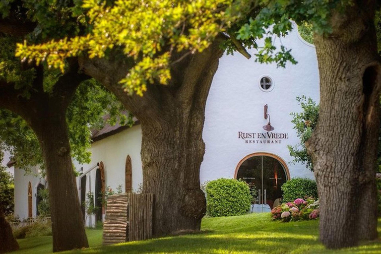 Le Cap : visite des vignobles pour les amateurs de vin avec transfert privé