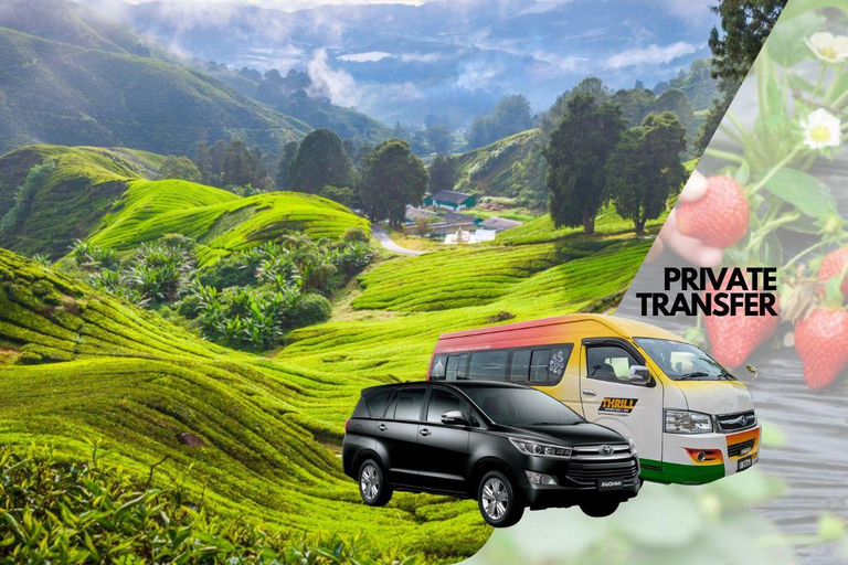 Transfert privé vers/depuis les Cameron HighlandsDe Kuala Lumpur aux Cameron Highlands