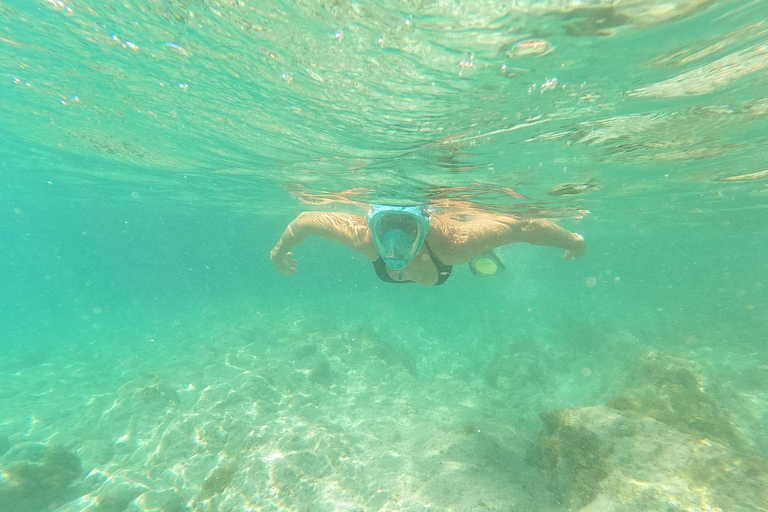 St.John's, Antigua: Stingray City & Long Bay Shore Excursion