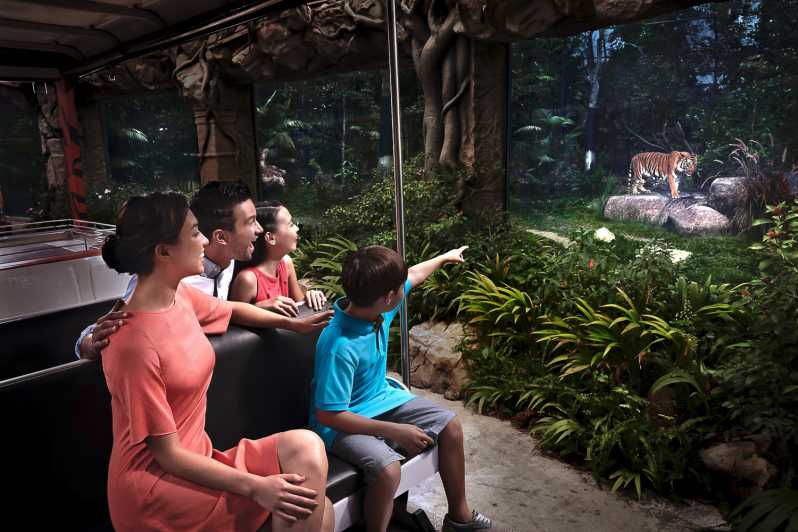 Singapore: Night Safari Ticket, Tram Ride, & Return Transfer | GetYourGuide