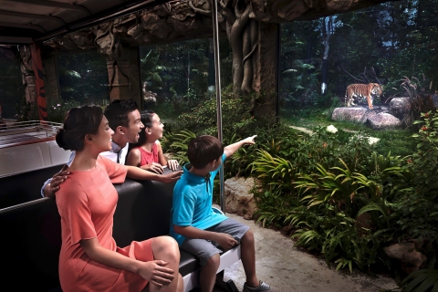 Singapur: Nächtliche Safari mit Straßenbahnfahrt & TransferNächtliche Safari: Dschungeltour mit Hotelabholung
