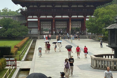 Osaka & Nara: Must-see Spots Full Day Tour with Hotel Pickup