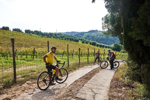 Firenze: tour guidato in bici elettrica nella campagna toscana con pranzo