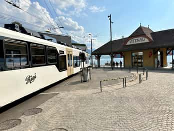 Luzern Privétour: Mt. Rigis & Meer van Luzern Cruise