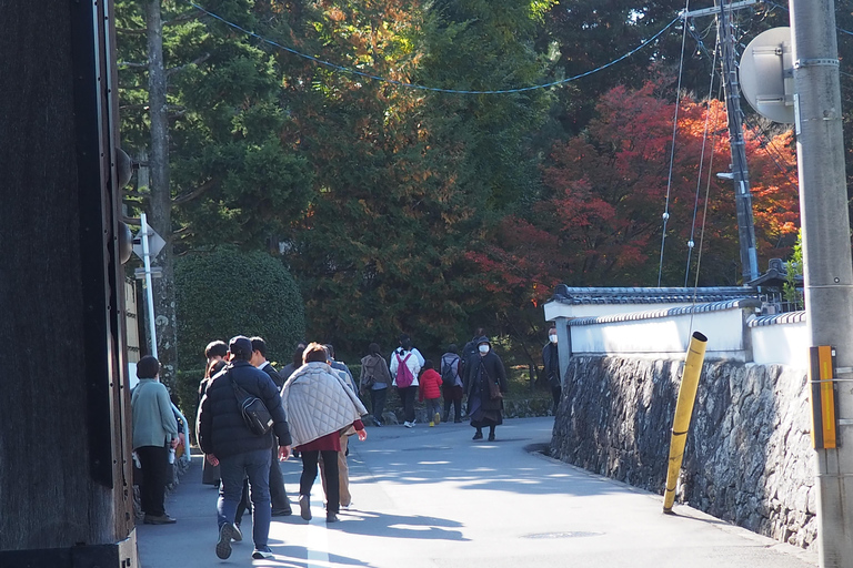 E-Bike Tour in Kyoto with Asuka, Japanese graduate student
