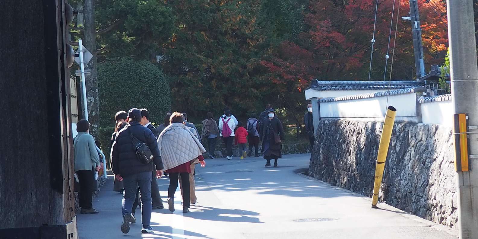 Kyoto experience — temples, geisha, bamboo grove — image 78