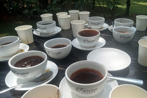 Coffee Farm Tour (Fairview)