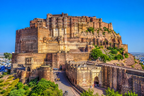 Jaipur, Jodhpur or Jaisalmer Multi-Day Trip with Safari