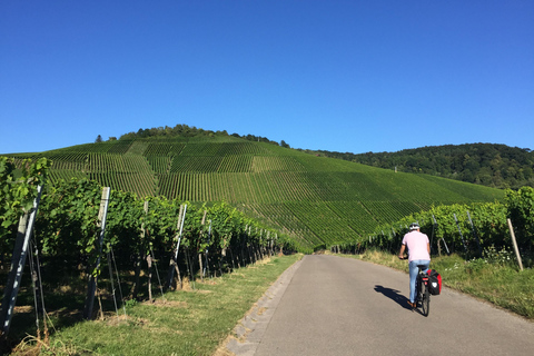 Stuttgart : visite du vignoble en vélo électrique, dégustation comprise