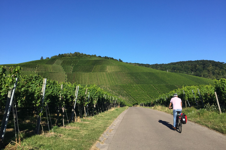 Stuttgart : visite du vignoble en vélo électrique, dégustation comprise