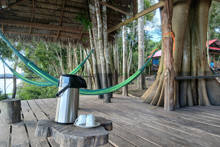 3-Day Amazon Expedition: Jungle, River & Wildlife Tour