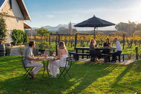 Christchurch: Waipara Wine Tour with Tastings & Lunch