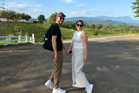 Day tour visit the top attractions in chiang rai