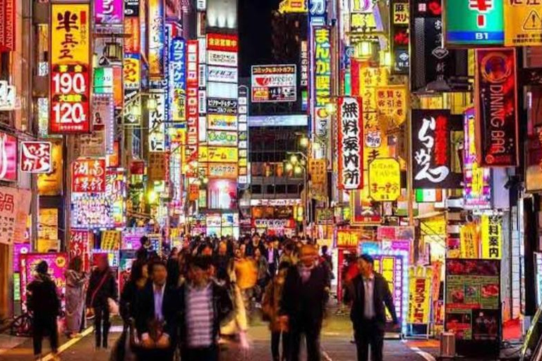 Tokyo: Tour privato di un giorno intero con autista che parla inglese