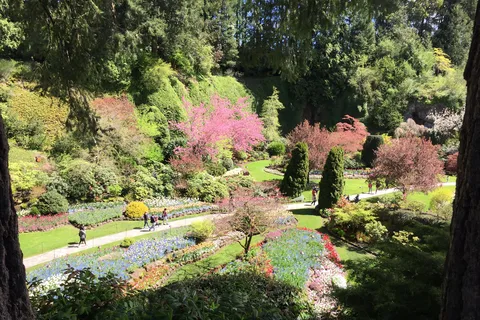 Butchart & Beyond: The Grand Victoria Tour